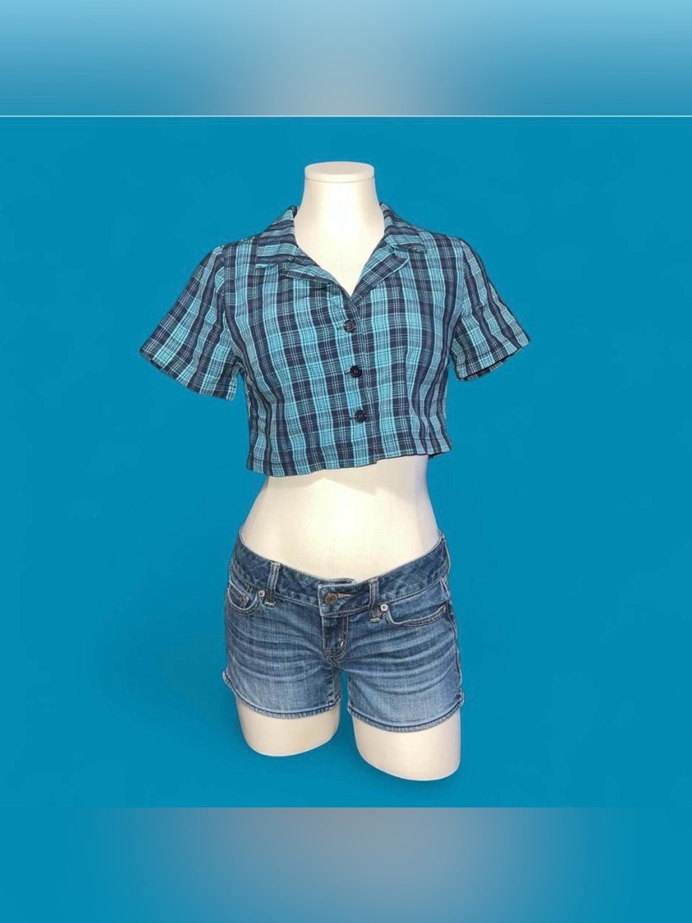 Source Unknown Blue Plaid Cropped Button-Down Shirt